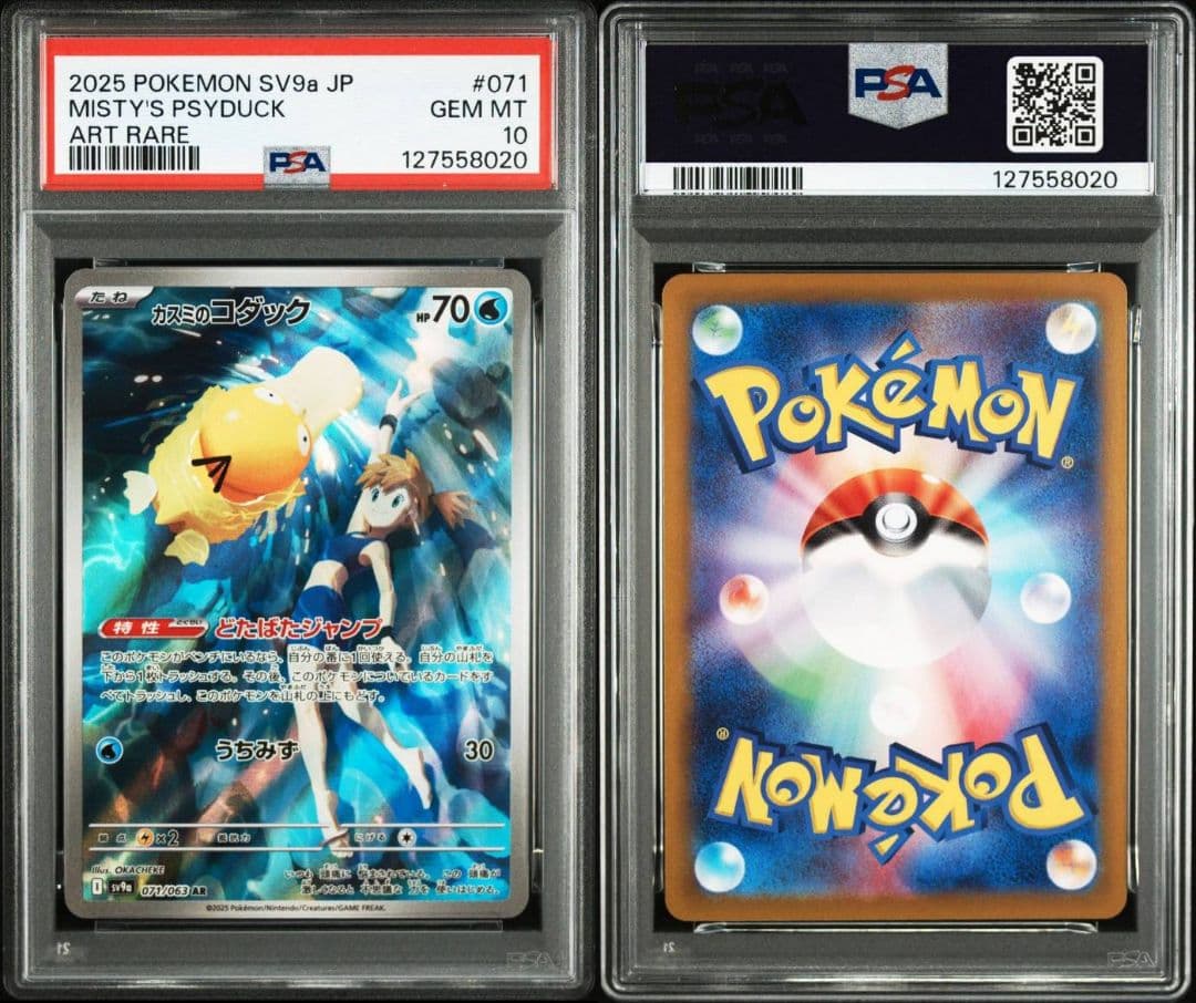 カスミのコダック ar psa10