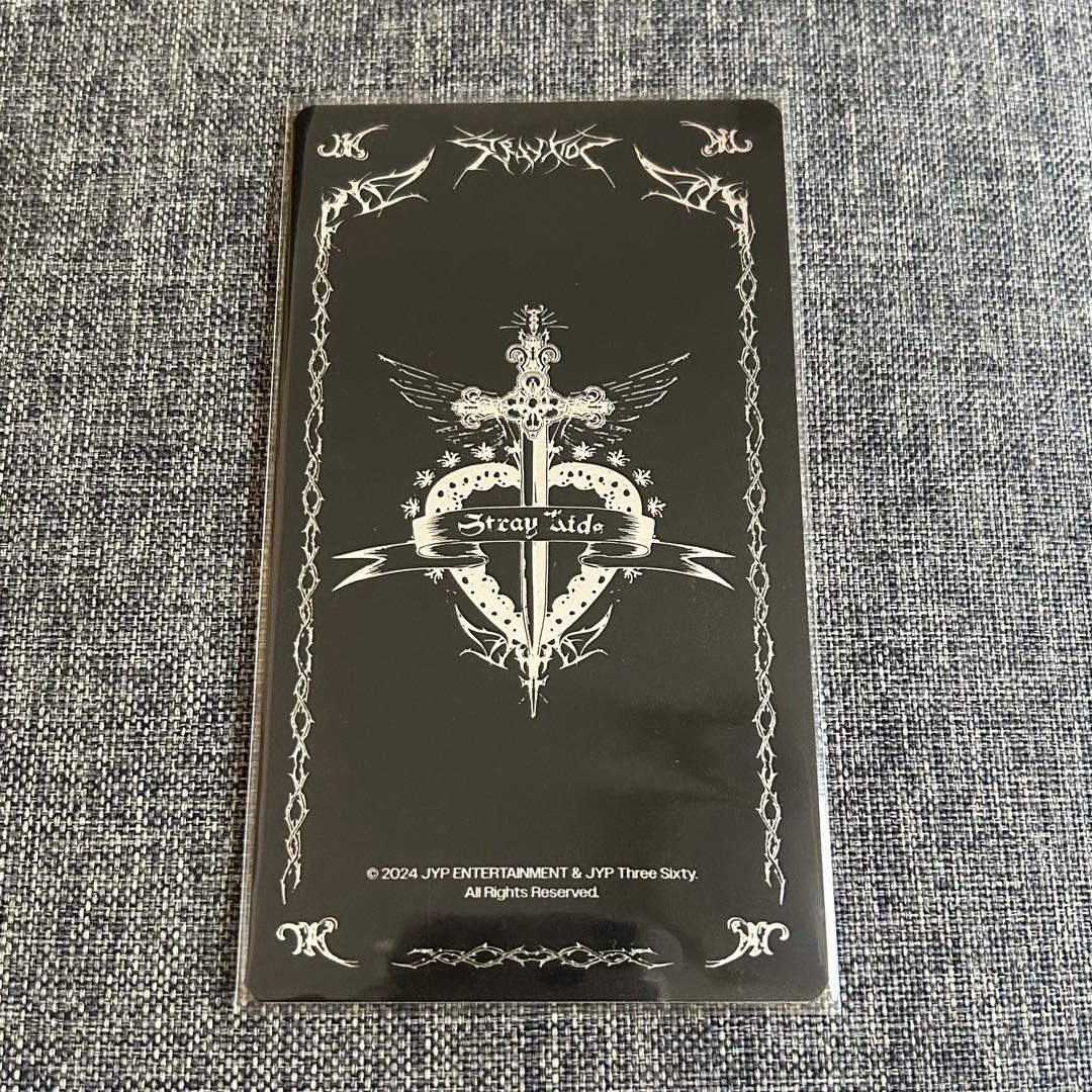 Stray Kids バンチャン dominATE ソウルコン ラントレ - メルカリ