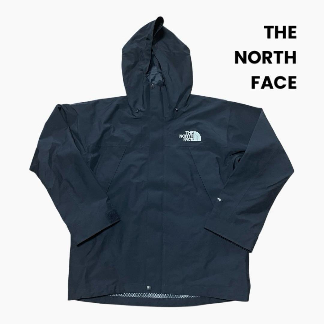 THE NORTH FACE NP62510 マウンテンパーカー ゴアテックス THE NORTH FACE（ザ ノースフェイス） マウンテンパーカー メンズ GORE
