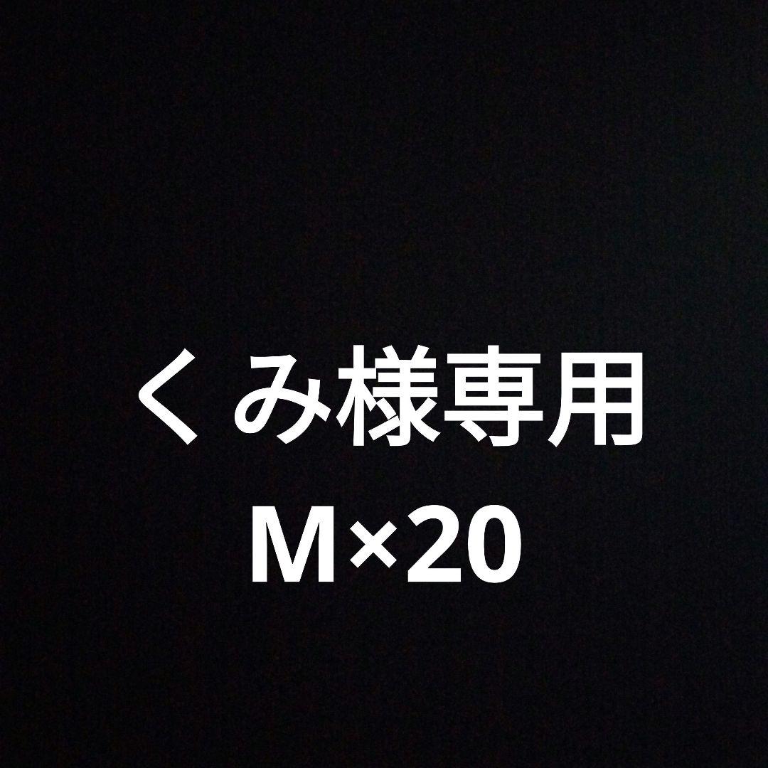 Мサイズ×20