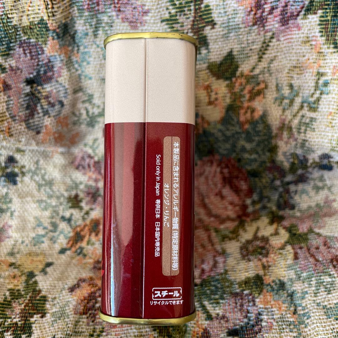 ❤️中山美穂❤️☆サクマドロップ缶 空き缶 - メルカリ