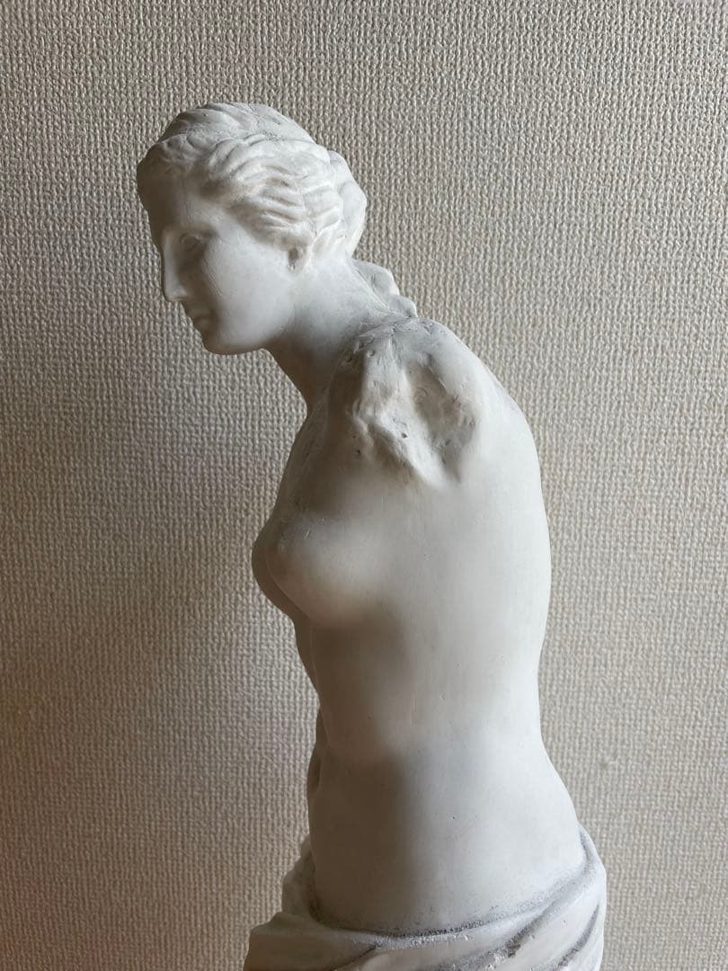 ミロのヴィーナス 彫刻 デッサン オブジェ - メルカリ