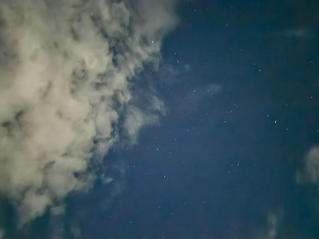 ポケモンカードゲーム Robby