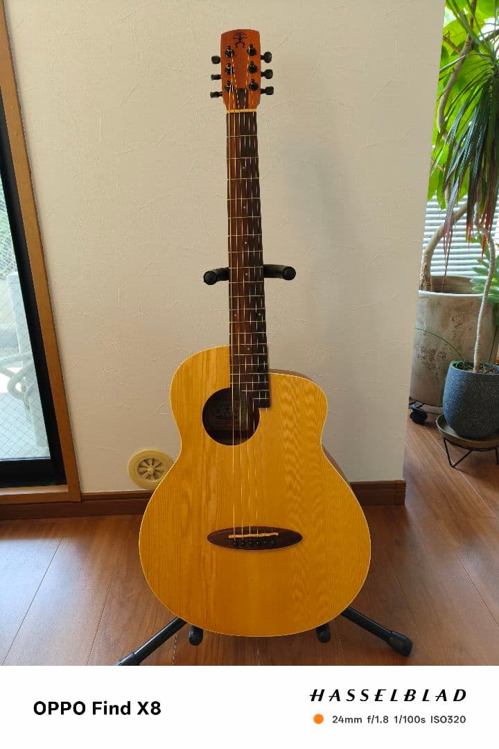 アヌエヌエ aNueNue Bird Guitar aNN-M1