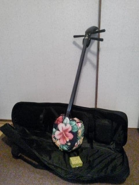 ♪沖縄で買った三線♪超綺麗で♪