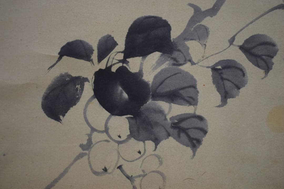 真作/松村景文/青梅/桐共箱付/布袋屋掛軸HI-954