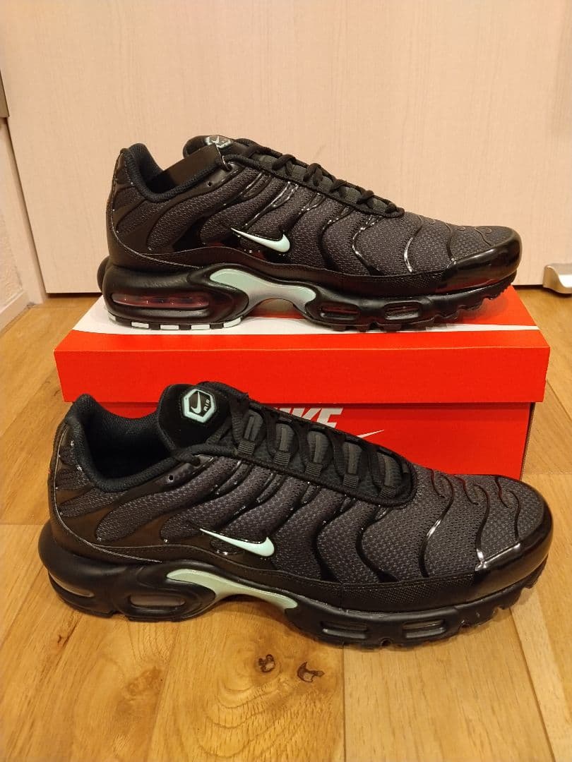 【送料込み】ナイキ エアマックス プラス “ブラック/ミント” 29.5cm