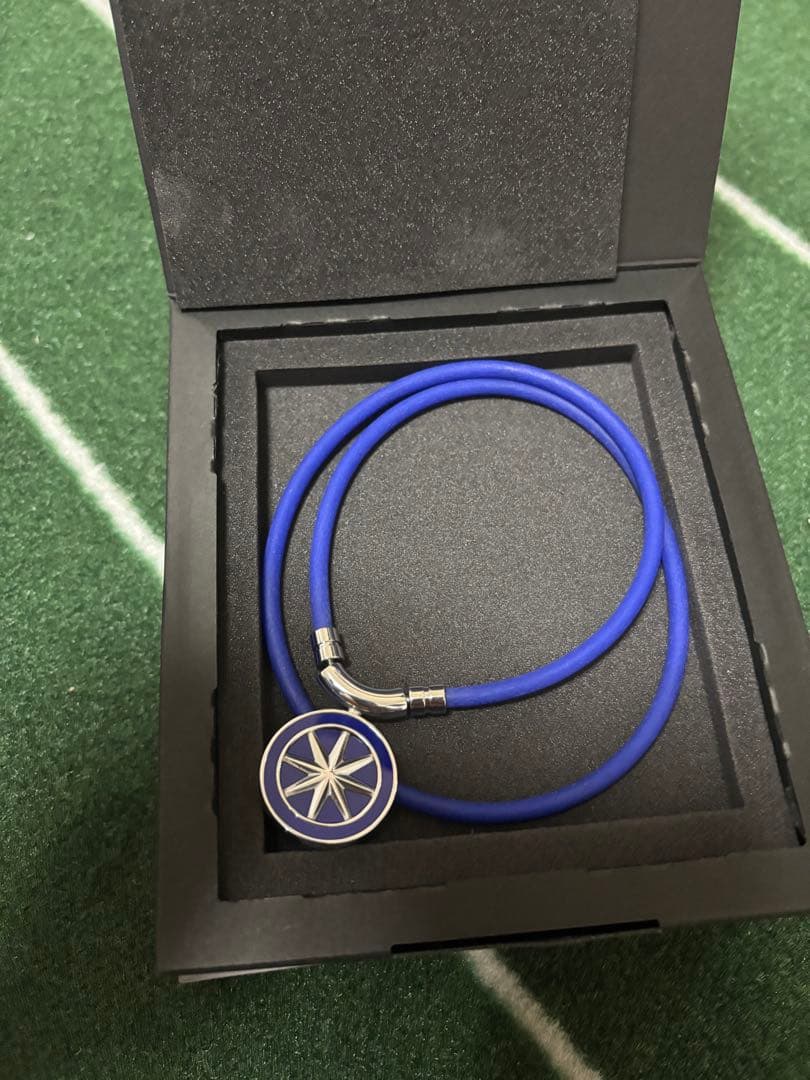 未使用 Bandel ネックレス healthcarenecklaceEarth