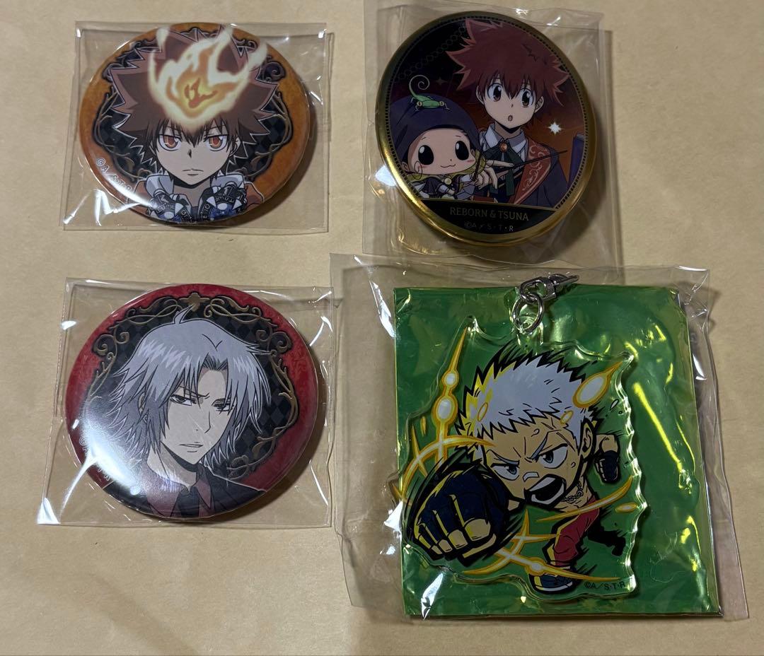 家庭教師ヒットマンREBORN! 沢田綱吉 缶バッジ・キーホルダーセット