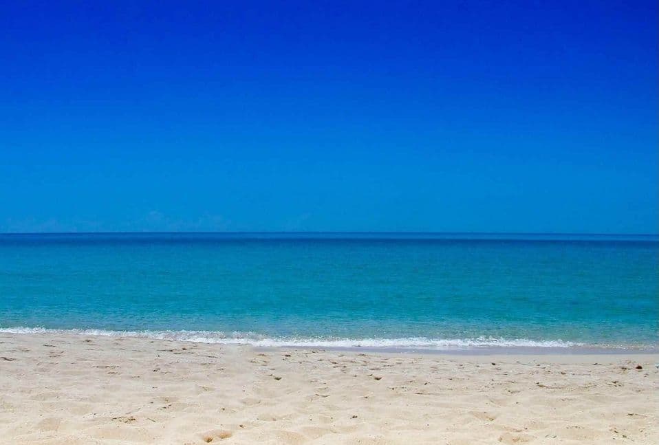 海藻の詩 ２本セット