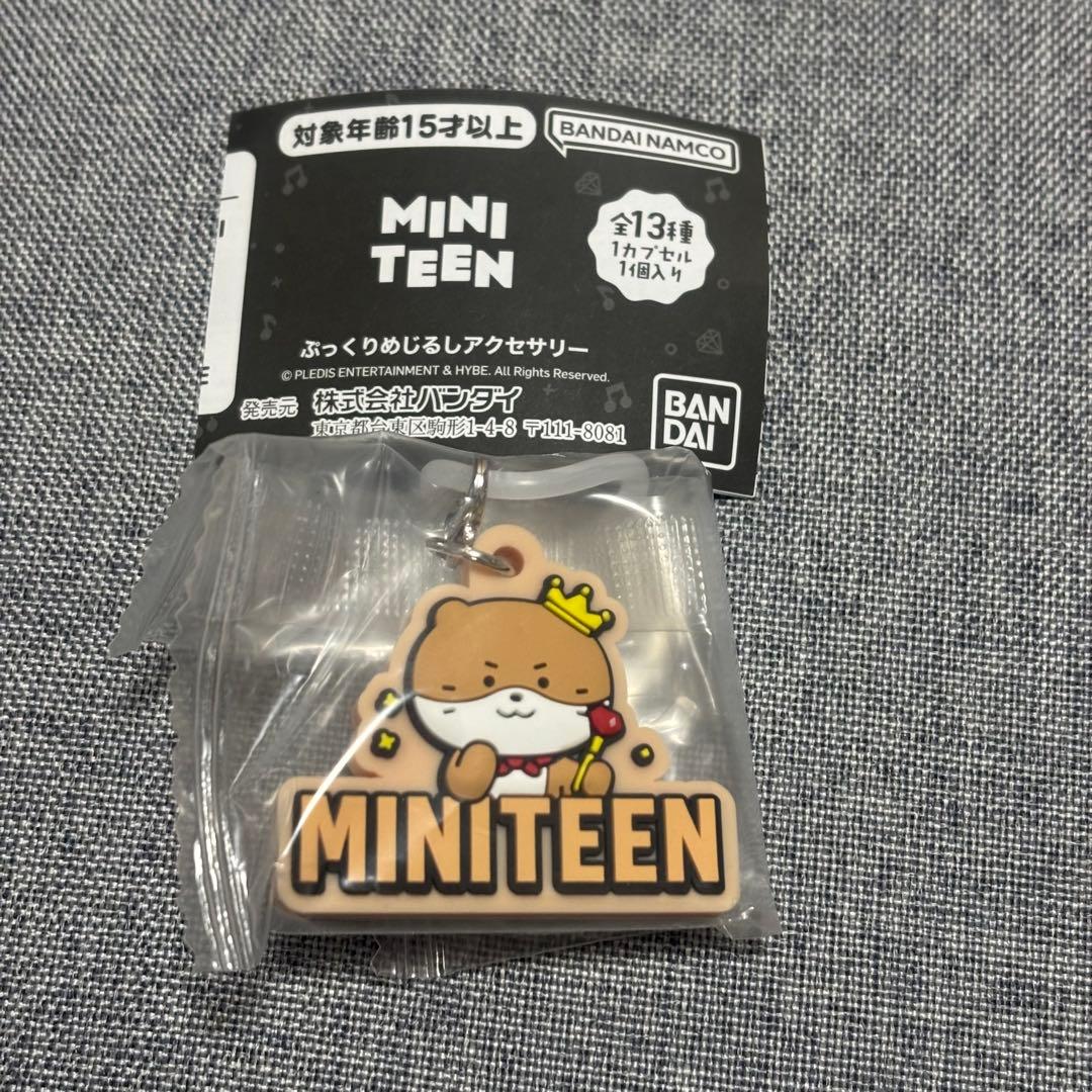 SEVENTEEN MINITEEN ミニティーン ディノ - メルカリ