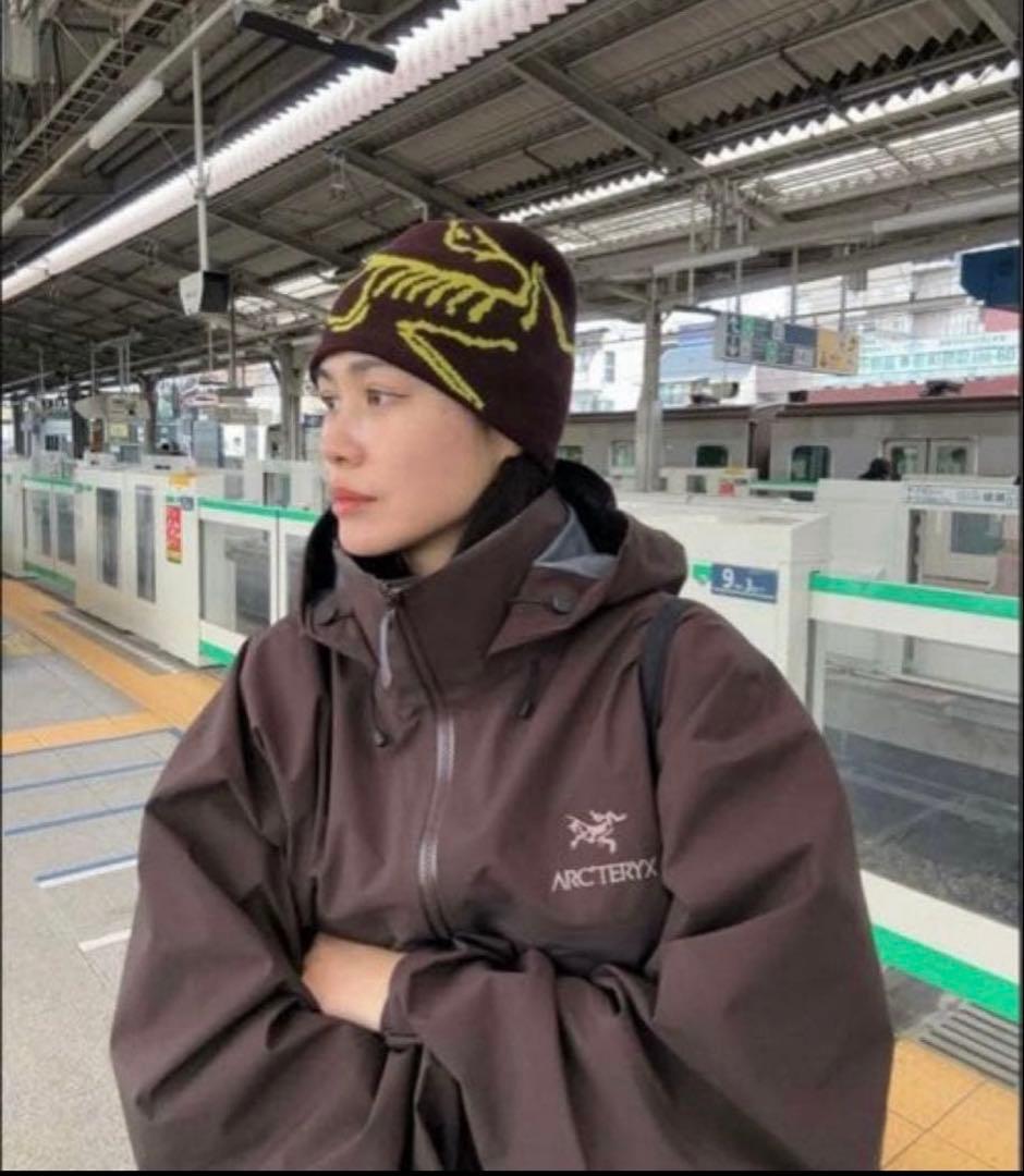 希少限定 田中シェン着用 Arc'teryx Beta AR S bitters - メルカリ