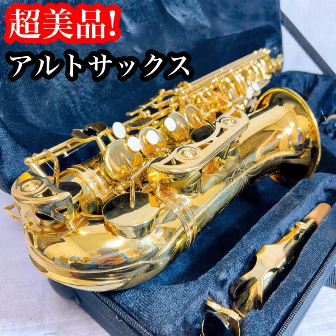 美品! アルトサックス 管楽器　ノーブランド　マウスピース　ネット　ケース 楽天市場】プロテック マウスピースポーチ トロンボーン/アルト