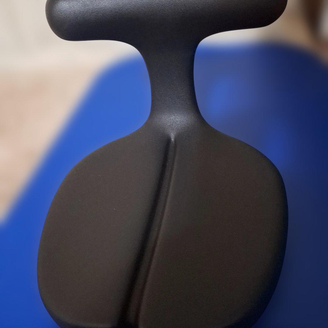 アーユルチェアー メディカルシート ayut medical seat ブラック