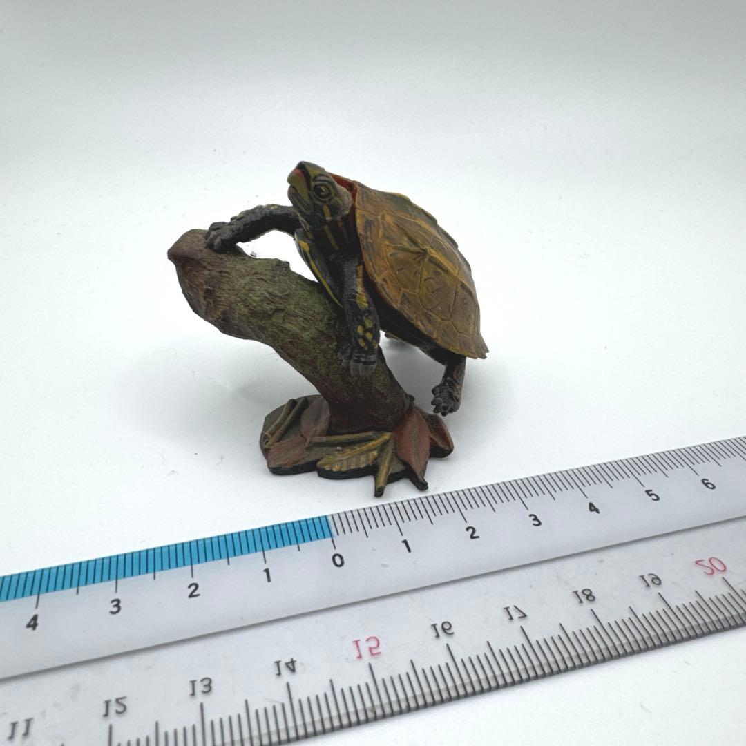 m*u様 【送料込】 リュウキュウヤマガメ 海洋堂フィギュア 週刊日本の