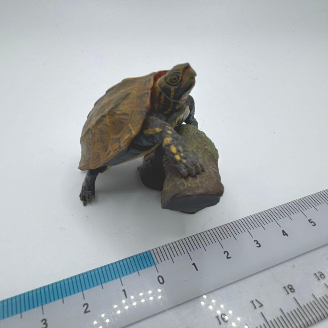 m*u様 【送料込】 リュウキュウヤマガメ 海洋堂フィギュア 週刊日本の