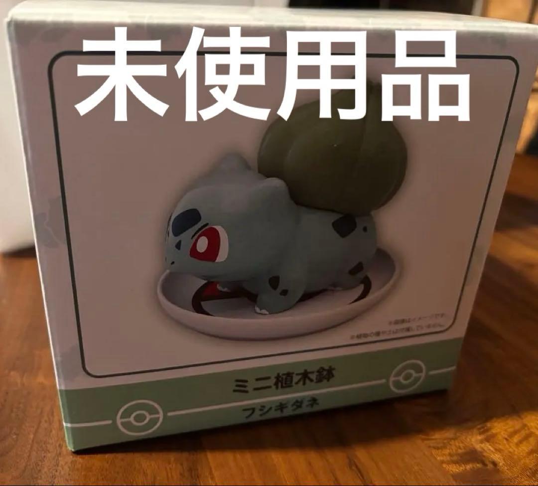 ポケモンセンター　ミニ植木鉢　フシギダネ　Bulbasaur