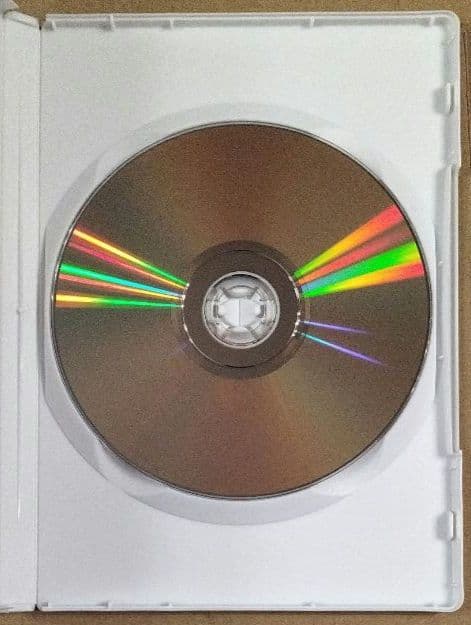 アニメ Vicky Chan