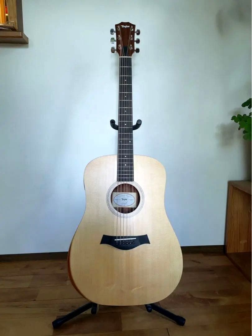 Taylor Academy 10e テイラー アカデミー エレアコ