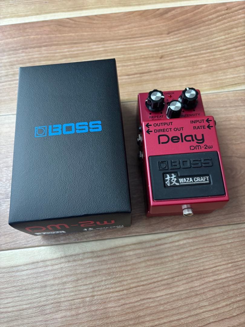 ギター BOSS DM-2w