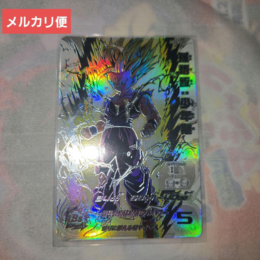 UM12-SEC3 LC孫悟飯:少年期