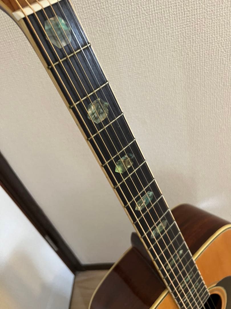 マーチン☆様専用 Pro Martin w-180 アコースティックギター - メルカリ