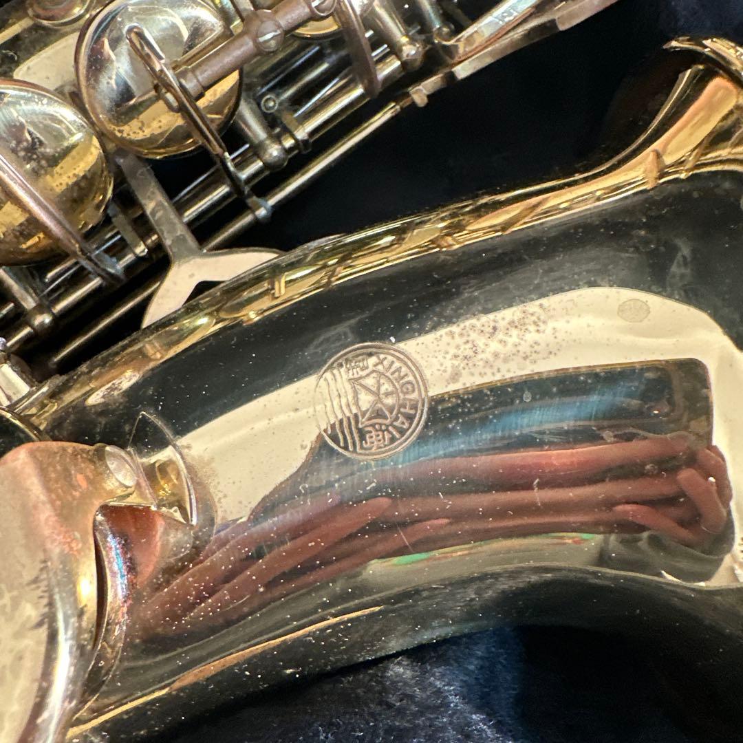XINGHAI アルトサックス 管楽器 ケース付属 初心者向け - メルカリ