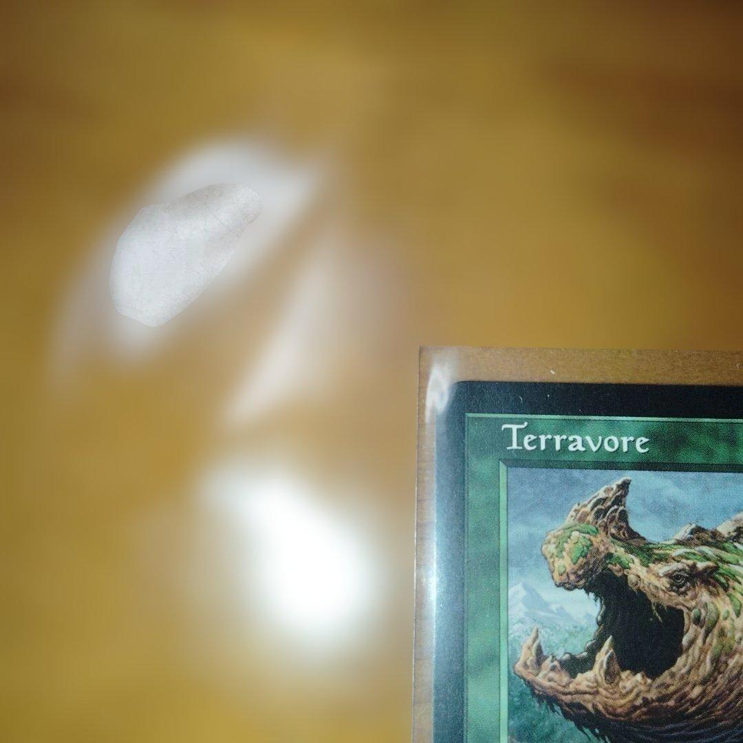 MTG【ODY】土を食うもの/Terravore英語4枚 - メルカリ