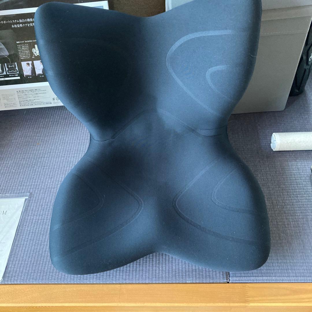 Style PREMIAM 骨盤・姿勢矯正クッション・チェア 黒