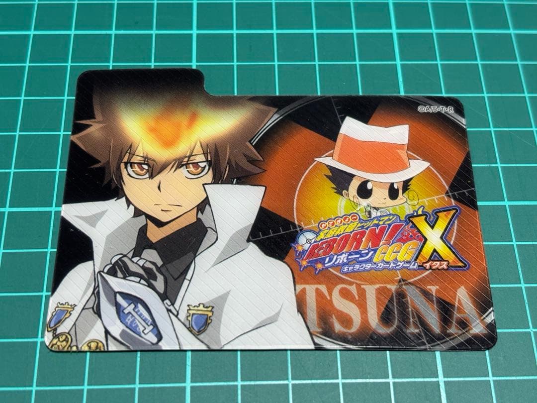 REBORN CCG BOX購入特典 セパレーター 仕切り リボーン 沢田綱吉