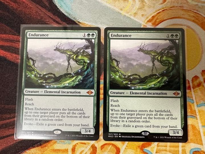 専用 MTG 忍耐/Endurance 英語版 2枚セット