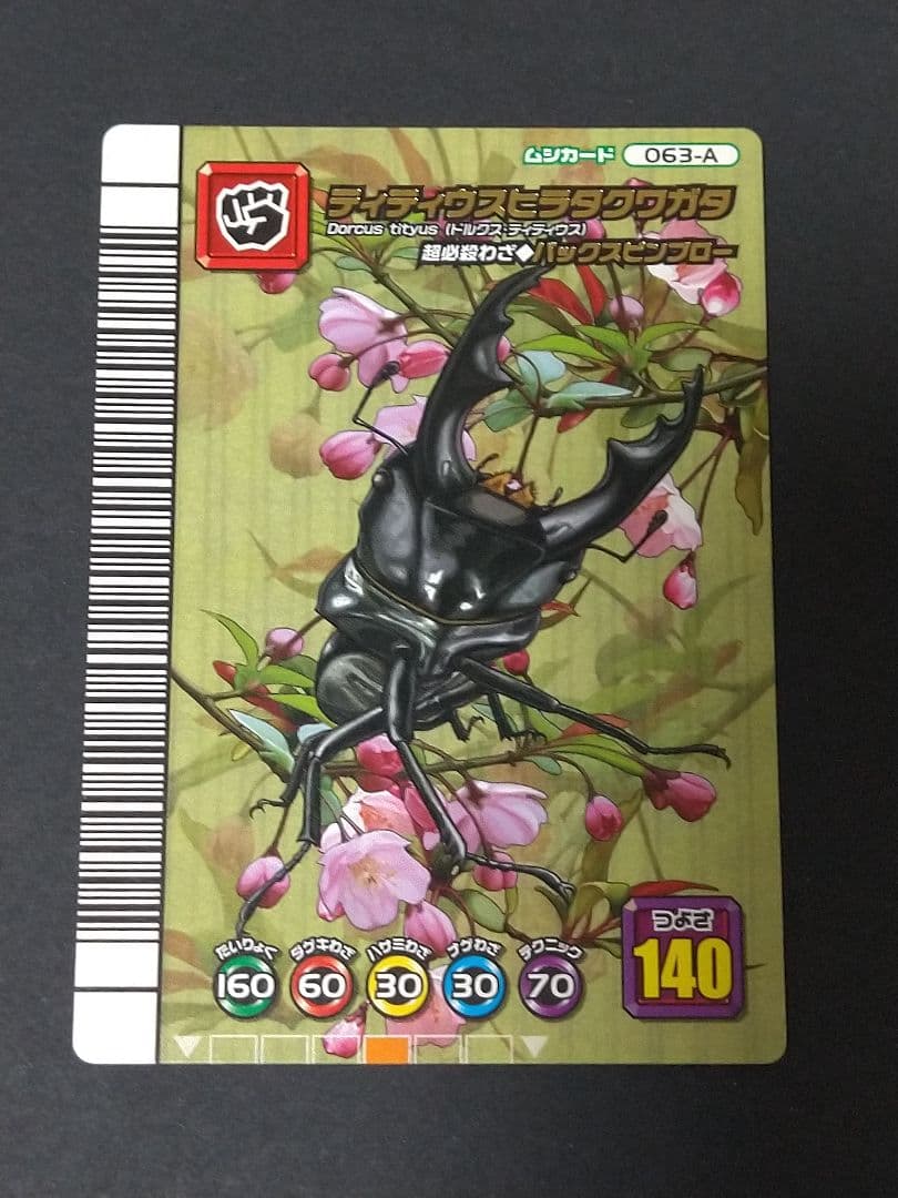 ムシキング ティティウスヒラタクワガタ アダーコレクション 5周年