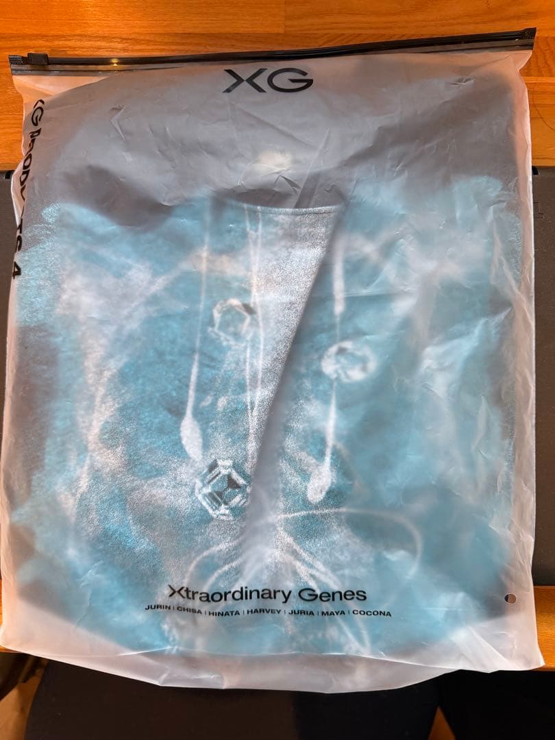 Alien X-Ray Tee Produced by XG（L） - メルカリ