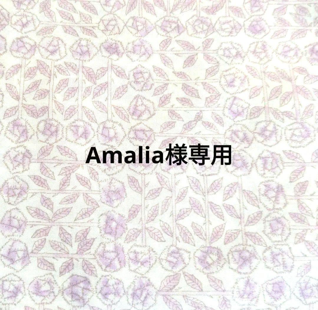 専用　刺繍　ポケットテッシュケース　ハンドメイド♪