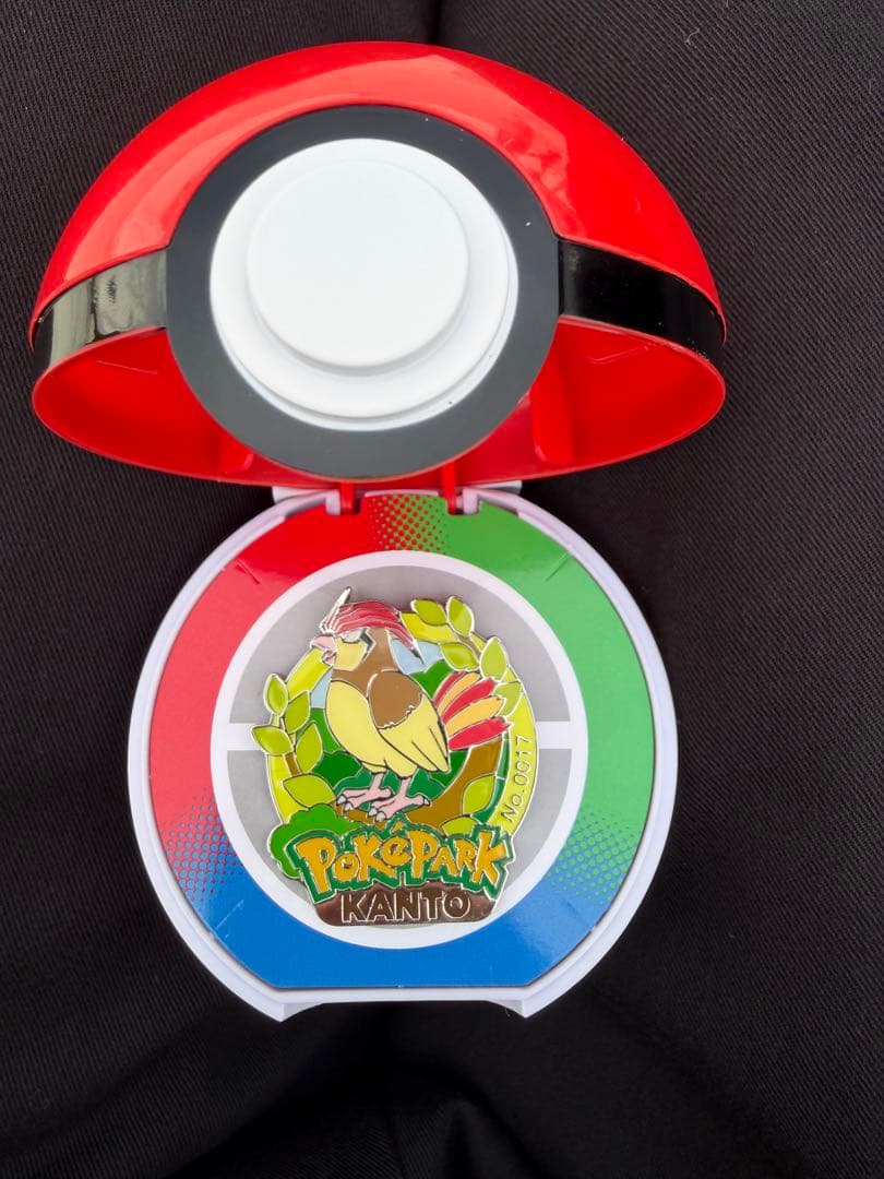 ポケパークカントー ピジョン ピンズ ポケモン 限定 - メルカリ