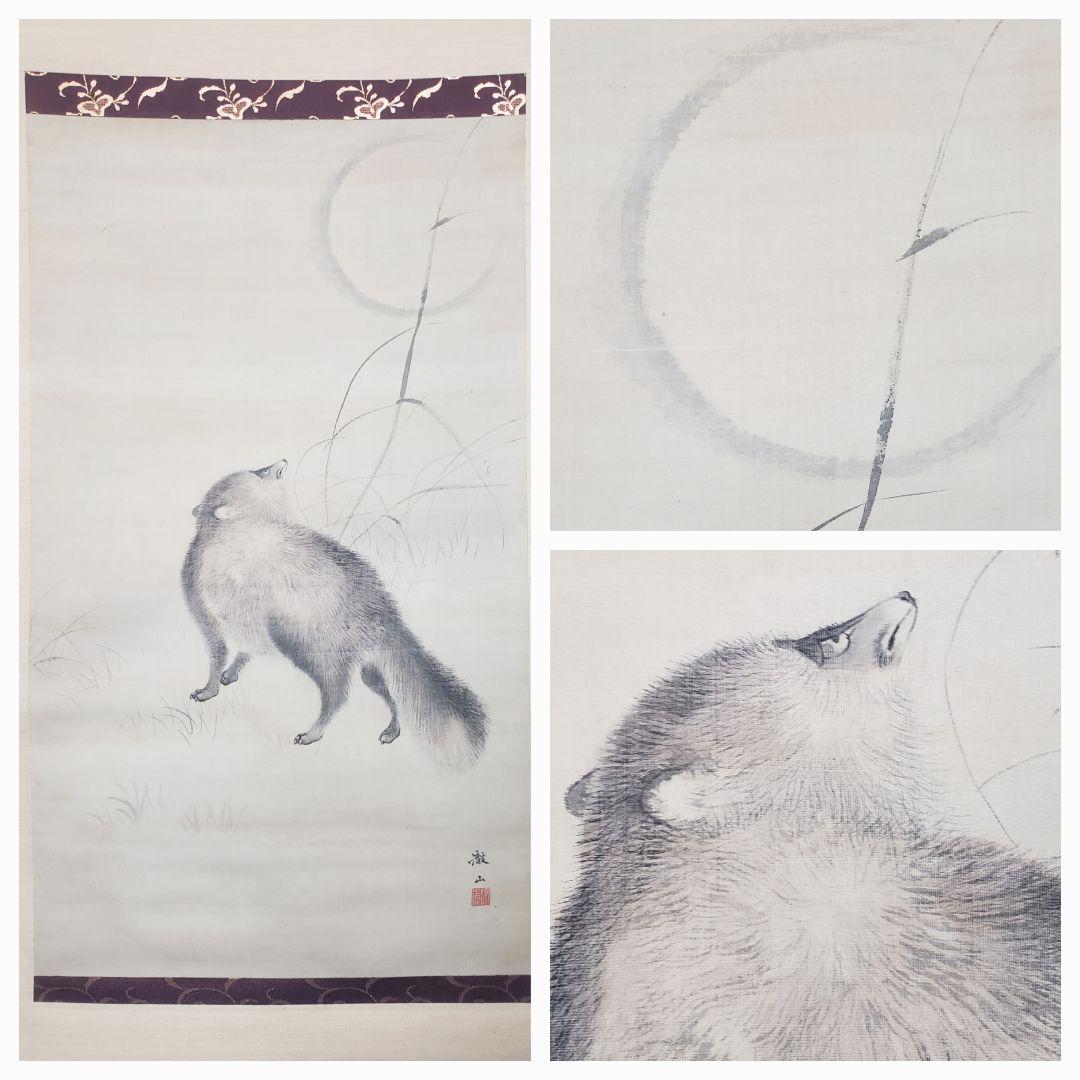 ススキに狸図/月下】森徹山 2536 タヌキ 掛け軸 肉筆 - メルカリ