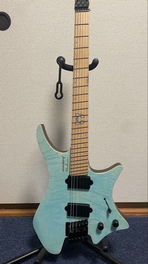 strandberg boden ras6 ギター本体・ケースのみ