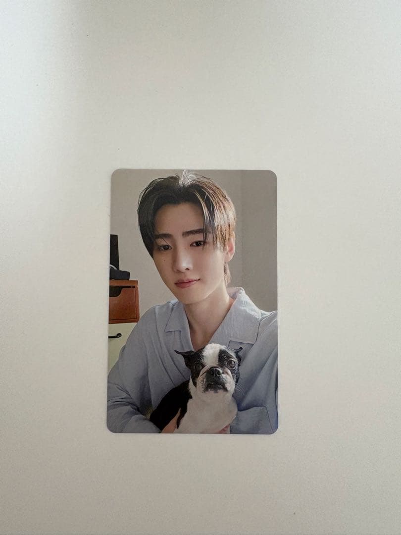 ENHYPEN 2025 会報　アンケートトレカ　ソンフン