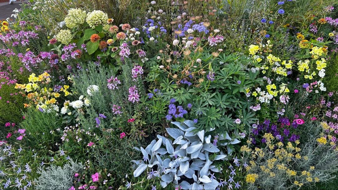 ワールドトリガー 隠岐孝二 中外 - メルカリ