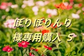 ぼりぼりんり購入 S