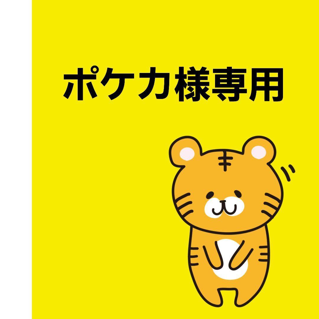 ポケカTECHNINE★スノーボードウェア★迷彩★ズボン