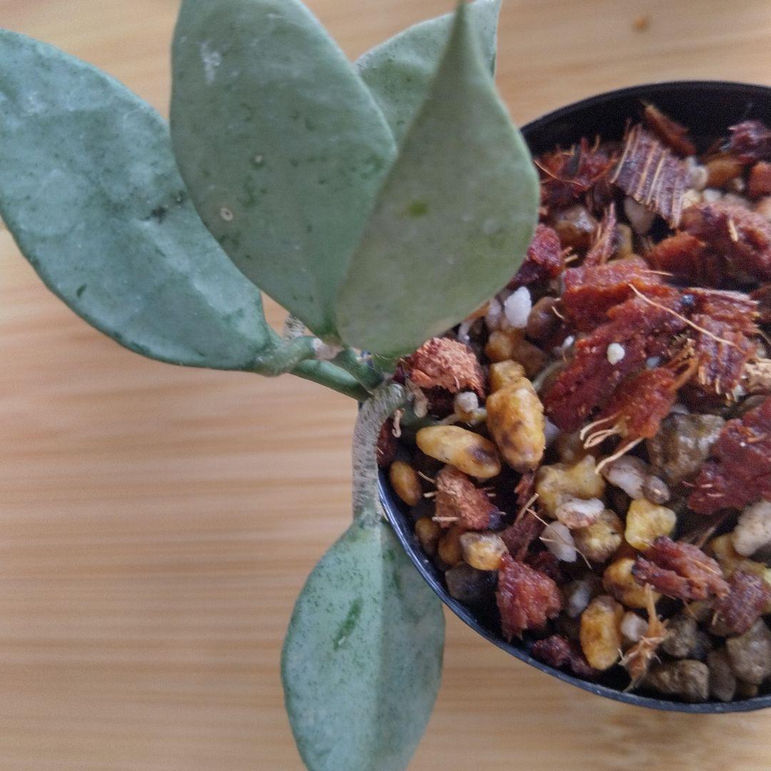 yuki様 リクエスト 3点 まとめ商品 - メルカリ