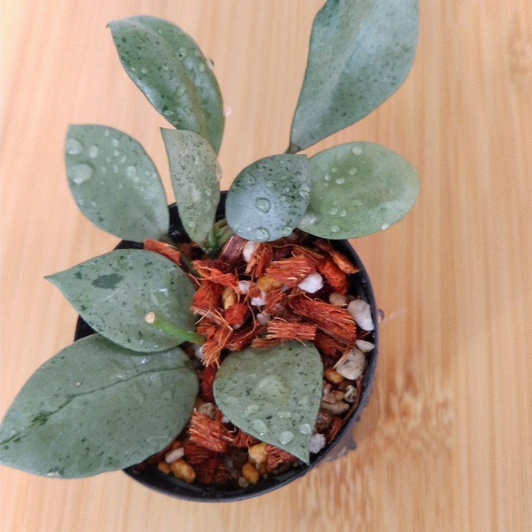 yuki様 リクエスト 3点 まとめ商品 - メルカリ