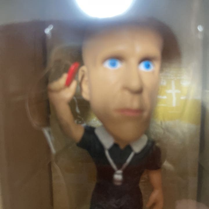 プロスターズシリーズのコッリーナ審判です