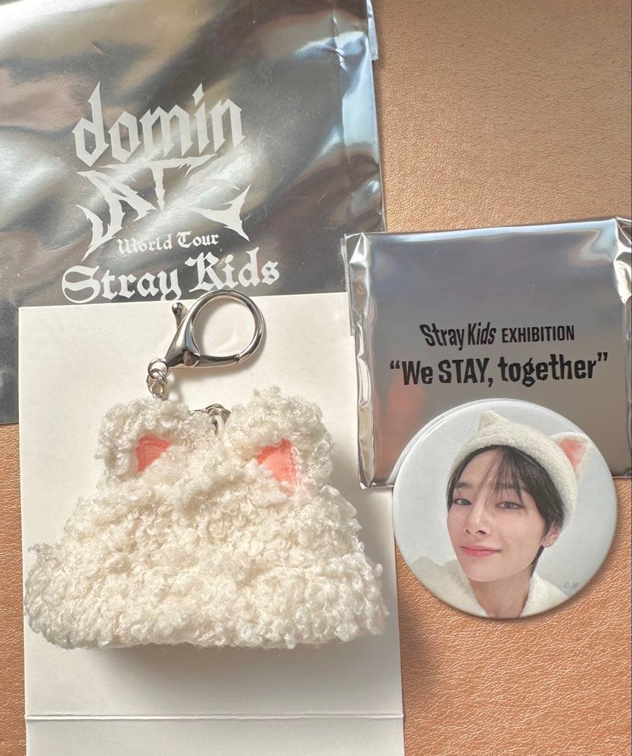 Stray Kids 展示会 缶バッジ アイエン ランダムミニボアキャップ