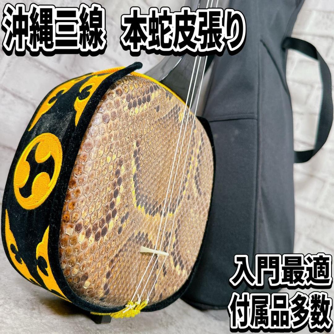 美品　沖縄　三線　本蛇皮　一枚張り　琉球 三味線 ケース ウマ　入門書　初心者