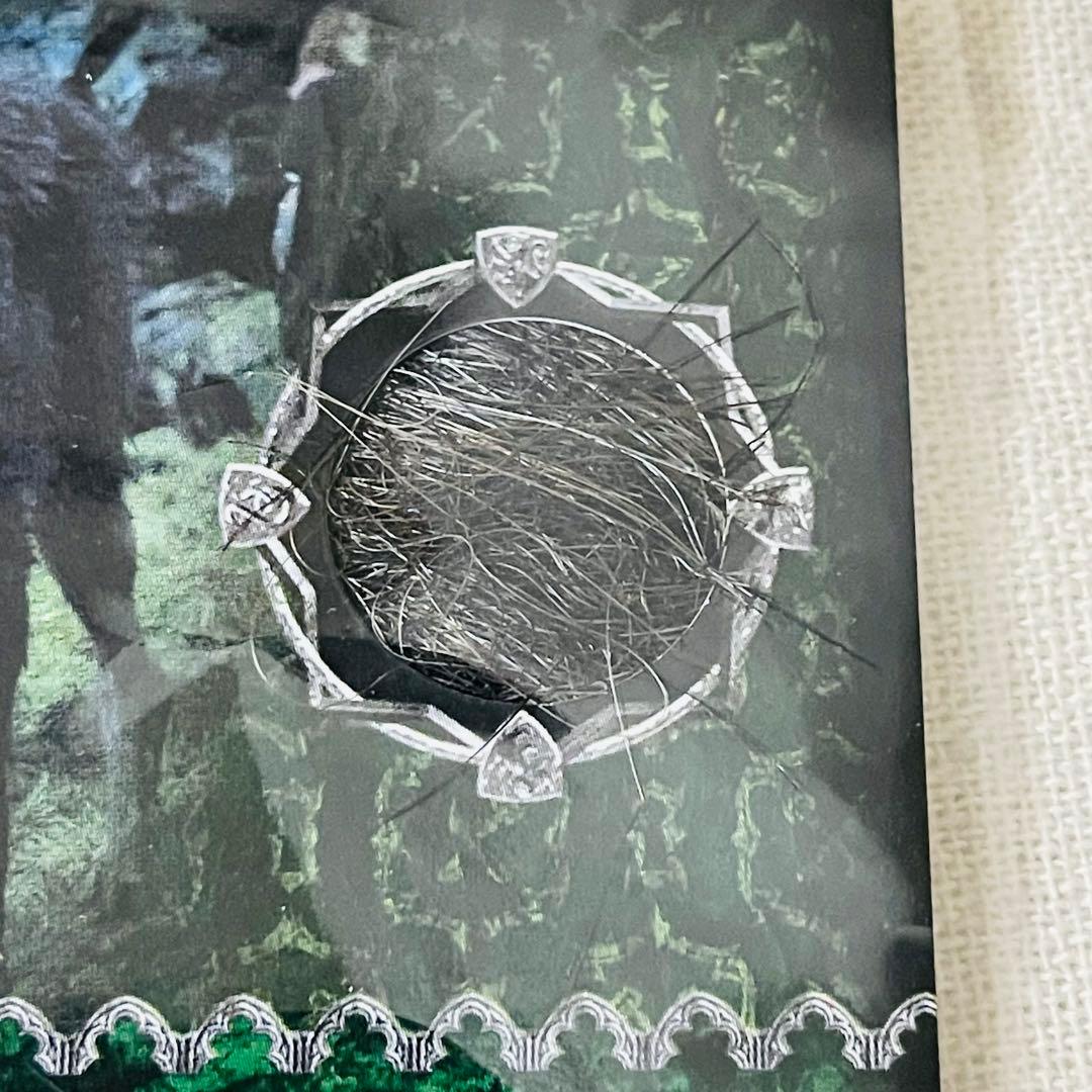 ハリーポッターとアズカバンの囚人 クリーチャーカード シリウス