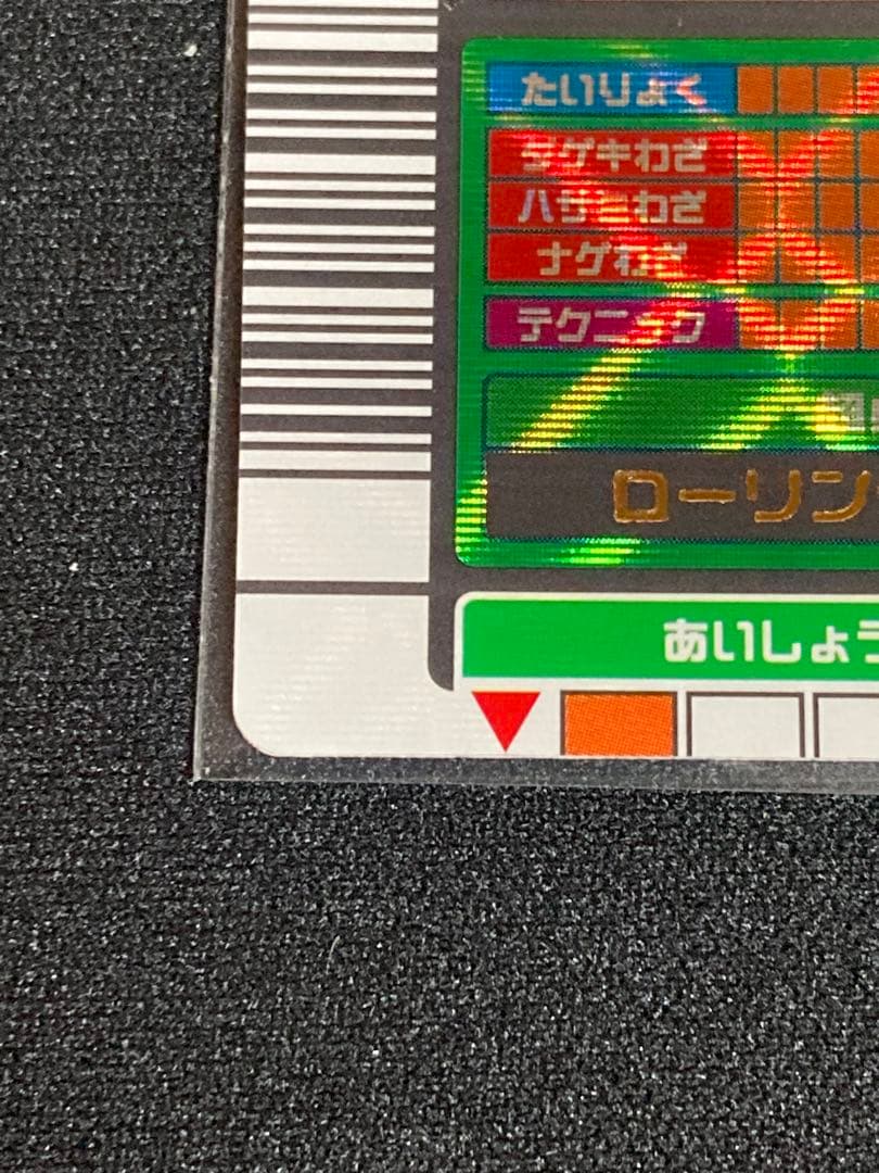 またこ様専用 ヘルクレスオオカブト2003 SPRING春 学名黒バーコード