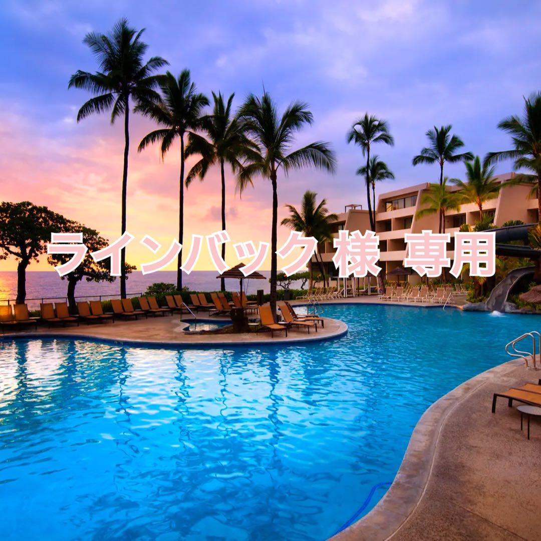 ダナ・キャラン【DKNY】ラムレザー シャツ ジャケット 革ジャン ヴィンテージ