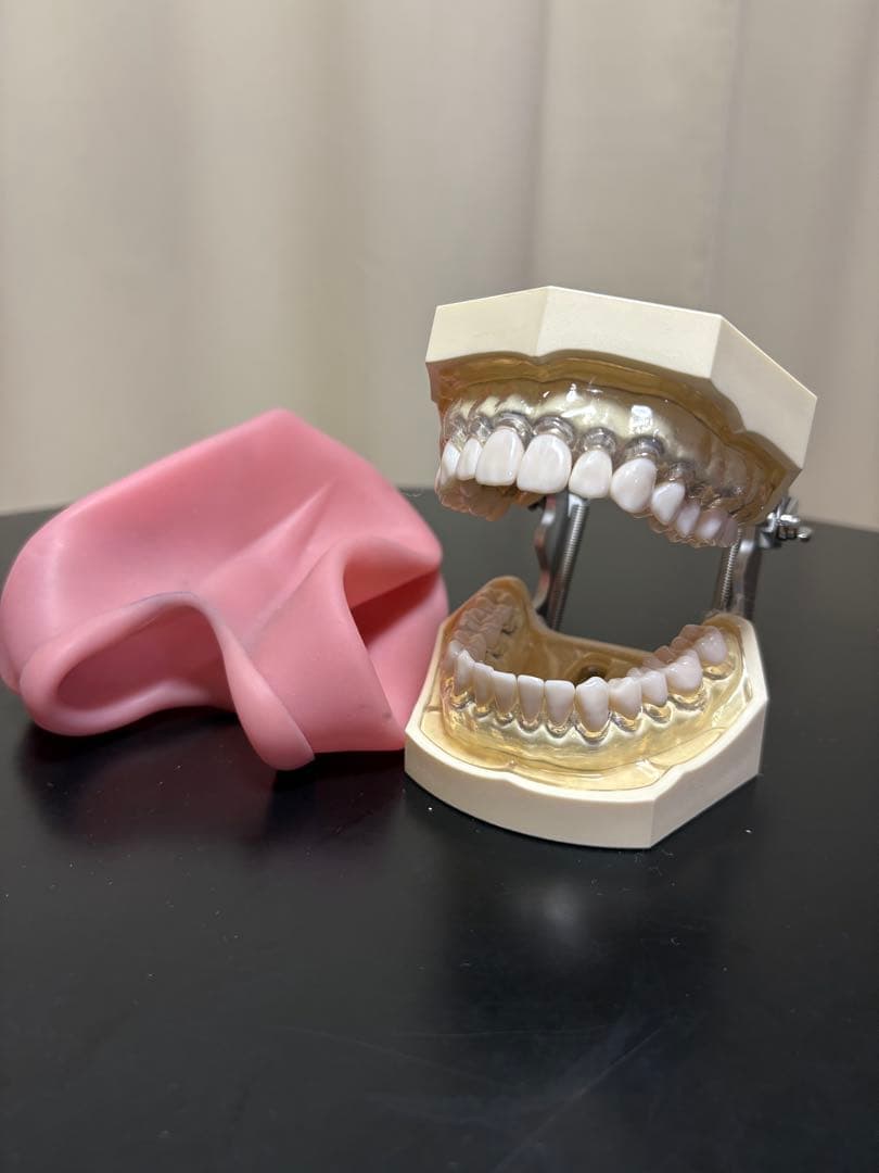 先行販売 佐伯祐三SAEKI/YUZO、ガラージュ、コロタイプ、大判 希少